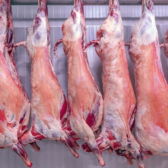 Picture of Mutton (Whole Carcass)- Kg