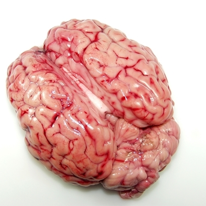 Picture of Mutton Brain