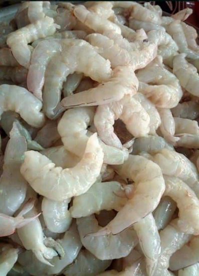 Picture of Prawns