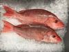 Picture of Red Snapper Fish (Heera)