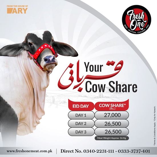 Picture of Cow- Share